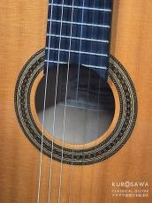 Juan Hernandez [ホアン・エルナンデス] 2010年製 SONATA Flamenca ソナタ・フラメンカ 松・シカモア【日本総本店2F 在庫品】_3