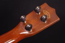 Martin Style-1_5