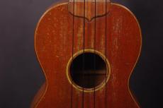 Martin Style-1_8
