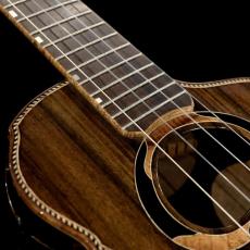 Sol Anemo Arched back Tenor No.97 - Claro walnut / Sinker redwood -_11