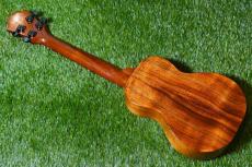 KoAloha KCM-02 Concert Longneck【USED/2009年】_3