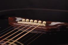 Gibson DOVE_7