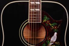 Gibson DOVE_8