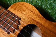 KoAloha KCM-00 Concert【USED/2008年】_10