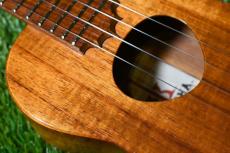 KoAloha KCM-00 Concert【USED/2008年】_11