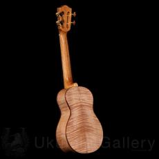 KOU ukulele Concert LN D model - Curly Maple -_3