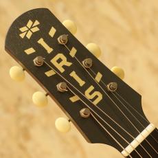 IRIS GUITAR COMPANY OG Model Adirondack Spruce Natural_8