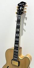 Ibanez PM200 / Natural_3
