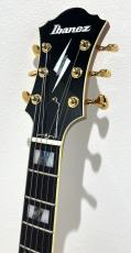 Ibanez PM200 / Natural_4