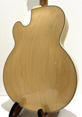 Ibanez PM200 / Natural_5