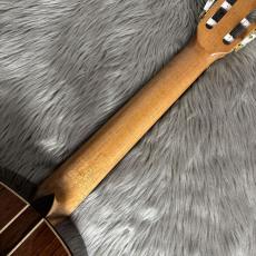 禰寝碧海 No.90 選定松/マダガスカルローズ【640mm】_8