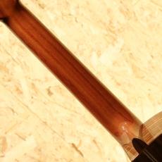 ASTURIAS Solo Classico S_7