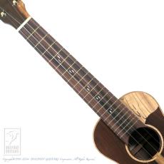 TODA Guitars VC (ALL Hawaiian Milo)_5