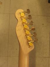 Fender TLR-RK(2016)_7