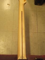 Fender TLR-RK(2016)_8