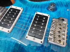 Paul Reed Smith [PRS] CUSTOM 24_3