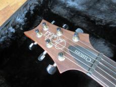 Paul Reed Smith [PRS] CUSTOM 24_4