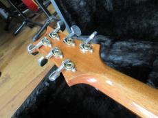 Paul Reed Smith [PRS] CUSTOM 24_5