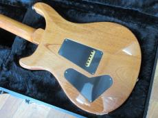 Paul Reed Smith [PRS] CUSTOM 24_6