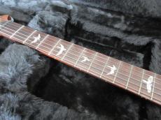 Paul Reed Smith [PRS] CUSTOM 24_7