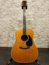 Martin 1977 D-35_10