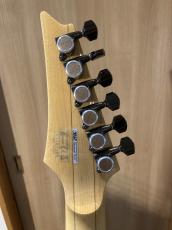 Ibanez RG8570Z J-Custom_3