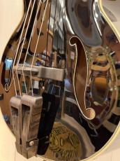 Takamine  B10 Custom ~Deep Dark Blue~ 【無金利分割OK】【送料は当社負担】_4