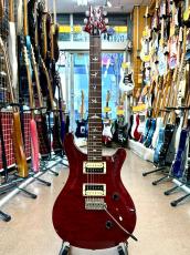 Paul Reed Smith [PRS] SE Custom 24_2