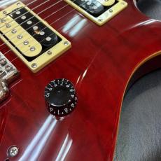 Paul Reed Smith [PRS] SE Custom 24_4