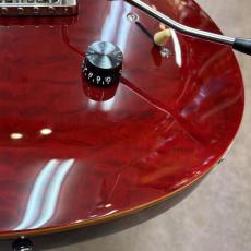 Paul Reed Smith [PRS] SE Custom 24_5