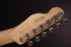 Fender American Performer Telecaster_5