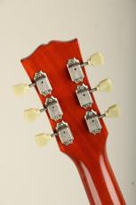 Alexander LP Type Sunburst_8