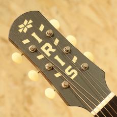 IRIS GUITAR COMPANY MS-00 Model Adirondack Spruce Burst_8