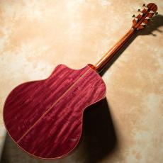 NATASHA JC-30S w/ L.R.Baggs HiFi Duet【お取り寄せ商品】_4