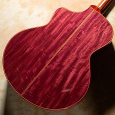 NATASHA JC-30S w/ L.R.Baggs HiFi Duet【お取り寄せ商品】_5