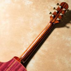 NATASHA JC-30S w/ L.R.Baggs HiFi Duet【お取り寄せ商品】_6