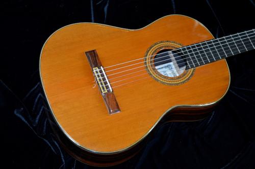 ASTURIAS C 8 w/Light case