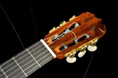 ASTURIAS C 8 w/Light case_3