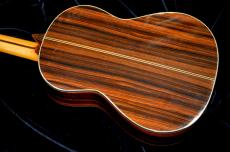 ASTURIAS C 8 w/Light case_4