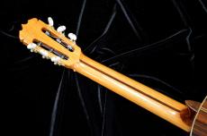 ASTURIAS C 8 w/Light case_5