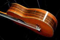 ASTURIAS C 8 w/Light case_6