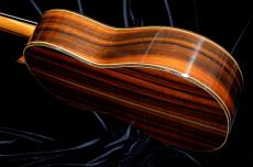 ASTURIAS C 8 w/Light case_7