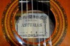 ASTURIAS C 8 w/Light case_10
