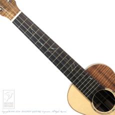 TODA Guitars VC (German Spruce & Jacaranda)_5