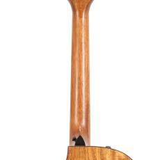 Taylor 724ce V-class *2022_9