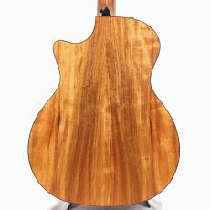 Taylor 724ce V-class *2022_10