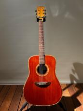 DOVER 006(2024年製)