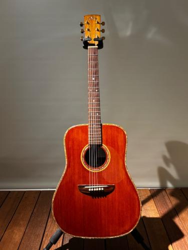 DOVER 006(2024年製)