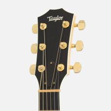 Taylor 614ce *2013_7