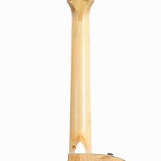 Taylor 614ce *2013_9